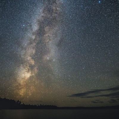 竞技场明星游戏下载