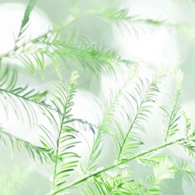 迷你世界微信版下载